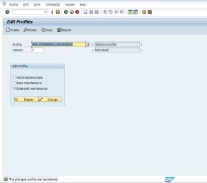 Perfil SAP - Start, Default e Instancia