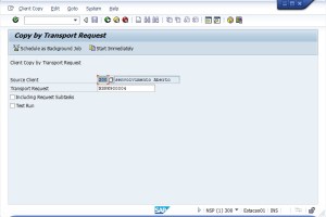 Iniciar Imediatamente