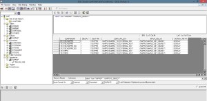 Instrução SQL - SAP NSP