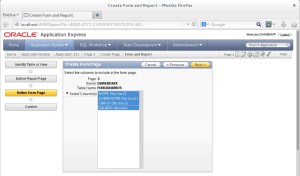 Colunas para o Formulário
