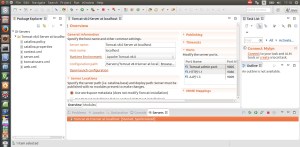 Tomcat - Instancia e Portas