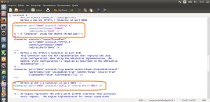 Apache Tomcat – Java Servlet e Java Server Pages – Linux ...