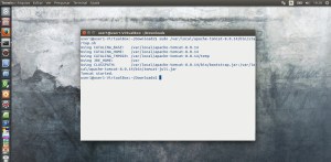 Iniciando o servidor