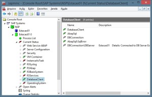 SAP - Servidor de Aplicação - e Banco de dados - NetWeaver/MaxDB