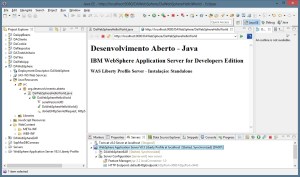 WebSphere Application Server