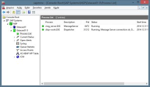 SAP System - Console