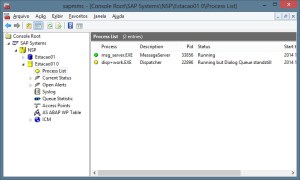 SAP - Running But Dialog Queue StandStill