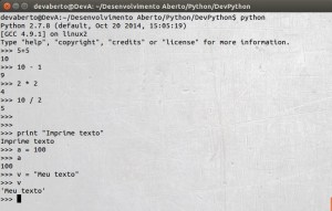 Python - Console - Terminal
