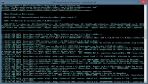 JBoss: Instancia StandAlone