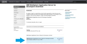 WAS for Developers - Download