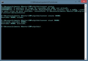 Criando e Iniciando o Servidor