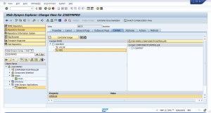 Web Dynpro - Contexto - Atributos
