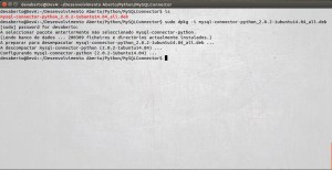 Pacote Debian - Oracle Connector/Python