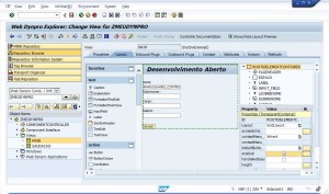 Web Dynpro - View - Main