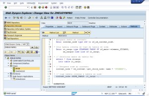 Web Dynpro - Métodos