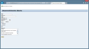 Web Dynpro - Aplicação