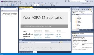 Bem-Vindo - ASP.NET MVC