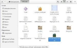 Descompactar VSCode