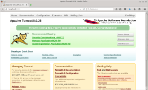 Localhost:9080 - Tomcat