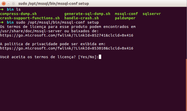 mssql-linux-install-2-licensa