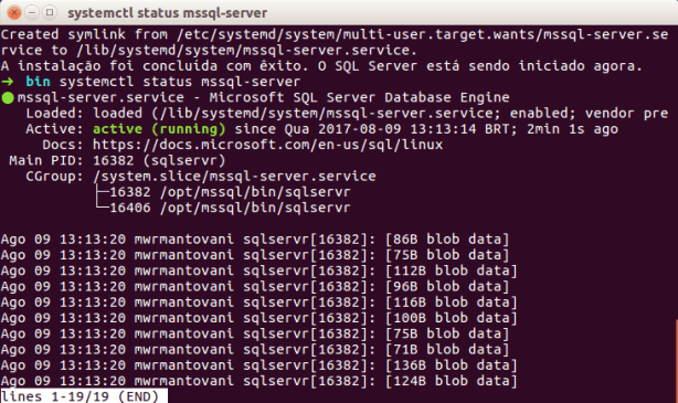mssql-linux-install-6-server-ok
